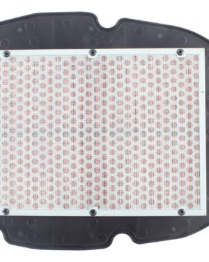 Filtrex Standard Air Filter - Honda 17210-MCW-D00 [121-0153]   