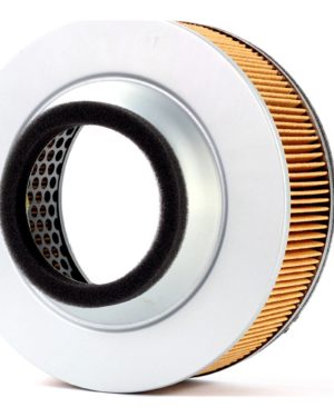 Filtrex Standard Air Filter - Kawasaki 11013-1248 [123-0049]    