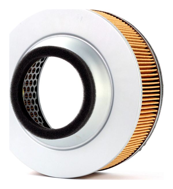 Filtrex Standard Air Filter - Kawasaki 11013-1248 [123-0049]