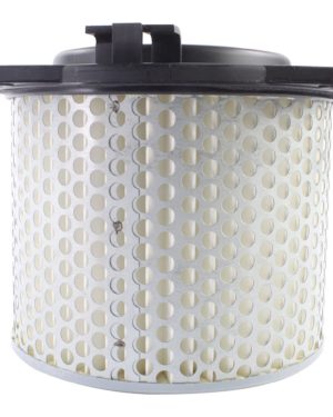 Filtrex Standard Air Filter - Suzuki 13780-33C00; 13780-20C00 [125-0021]    
