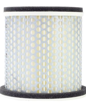 Filtrex Standard Air Filter - Yamaha 4BR-14451-01 [127-0037]   