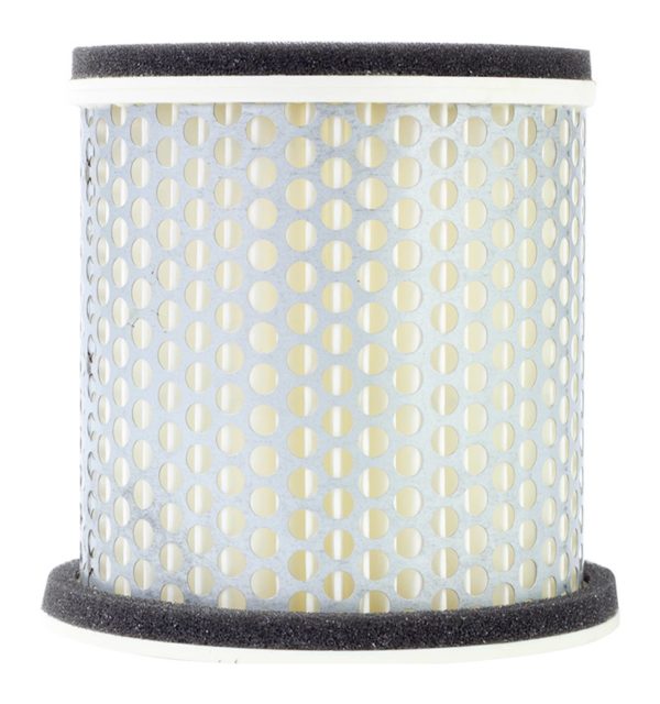 Filtrex Standard Air Filter - Yamaha 4BR-14451-01 [127-0037]