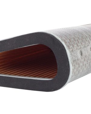 Filtrex Standard Air Filter - Honda 17210-MFG-D001/2 (121-0223)   