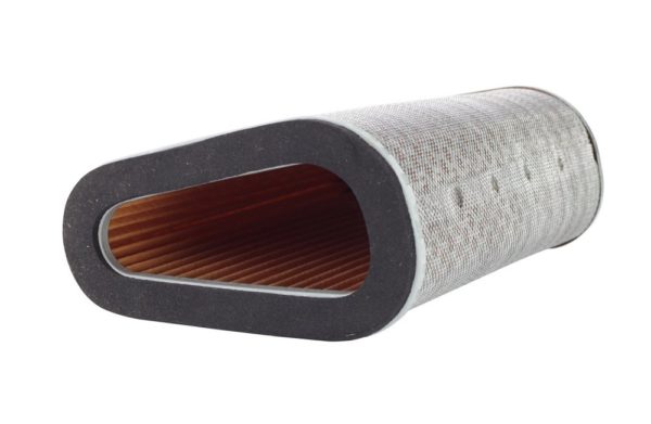 Filtrex Standard Air Filter - Honda 17210-MFG-D001/2 (121-0223)