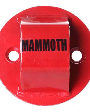 Mammoth Junior 2 Bolt In Ground Anchor
