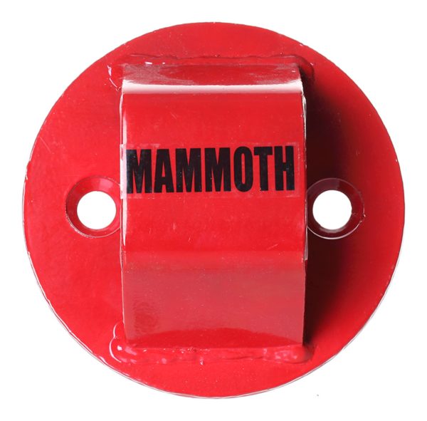 Mammoth Junior 2 Bolt In Ground Anchor
