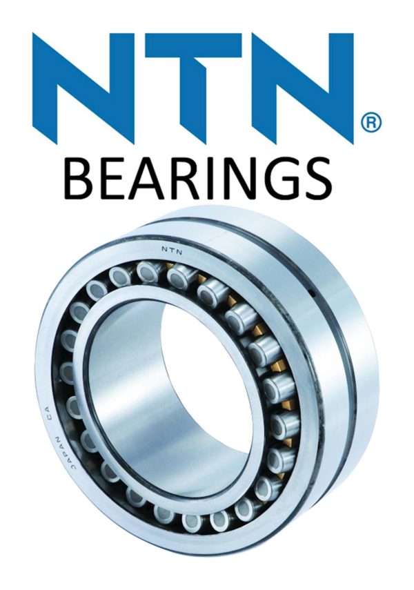 NTN Double Rubber Sealed Bearing - 6303DDU