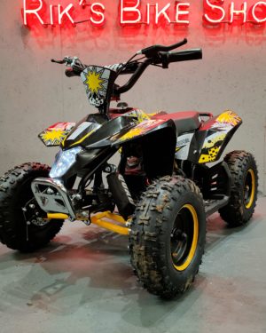 Massive E-Quad 36V 1000W