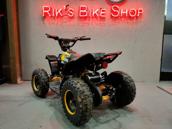 Massive E-Quad 36V 1000W - Image 2