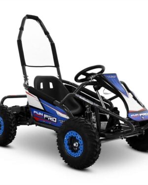 Go kart